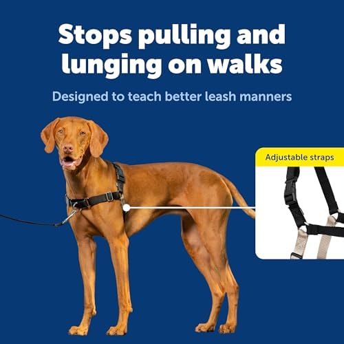 PetSafe Easy Walk Harness, No Pull Dog Harness - Image 3