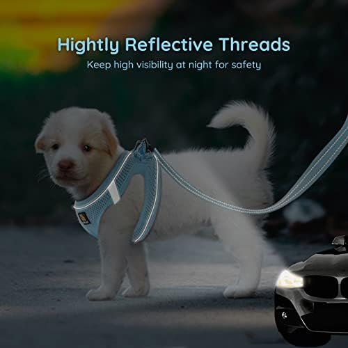 BELLA & PAL Step in Puppy Harness and Leash Set - Image 4