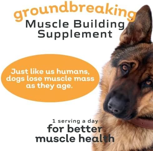 MYOS Canine Muscle Formula - All-Natural Muscle Building Supplement - Helps Reduce Muscle Loss in Dogs Due to Normal Aging and Improves Recovery from Injury or Surgery