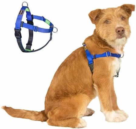 Easy Walk No Pull Dog Harness by APDEXY%7CEspeciallyFurYou