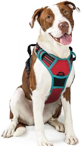 rabbitgoo Dog Harness, No Pull for Large Dogs by rabbitgoo