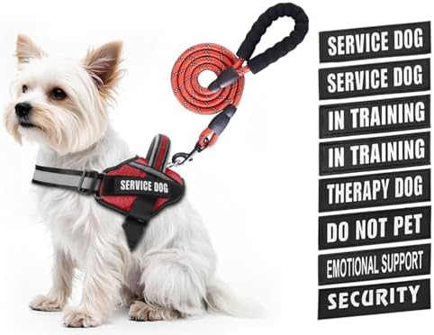 Service Dog Vest Harness and Leash Set, Animire in Training Dog Harness by Animire