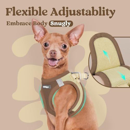 rabbitgoo Step-in Small Dog Harness, Puppy Vest - Image 6