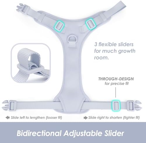 Sunraymascota No Pull Dog Harness - Image 5