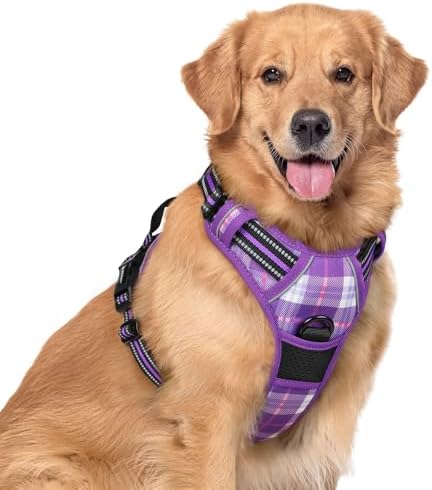 rabbitgoo Dog Harness, No Pull for Large Dogs by rabbitgoo