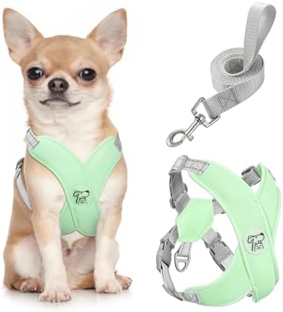 Pawaboo Small Dog Harness and Leash Set, Puppy Harness X-Frame Adjustable by Pawaboo