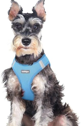 rabbitgoo Step-in Small Dog Harness, Puppy Vest by rabbitgoo