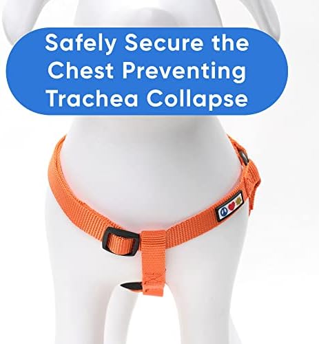 Pawtitas Solid Step-in Dog Harness – Adjustable No-Pull Vest - Image 4