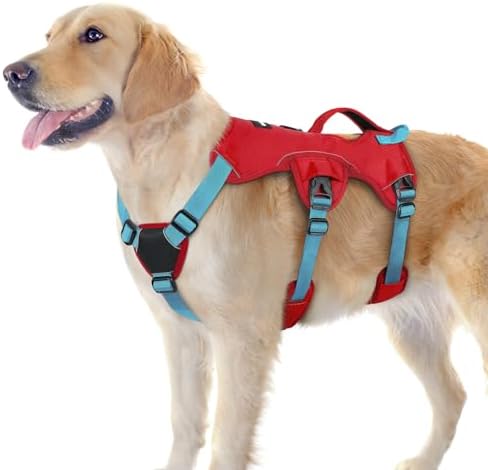 rabbitgoo Escape Proof Dog Harness by rabbitgoo