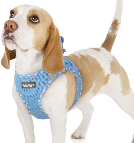 rabbitgoo Step-in Small Dog Harness, Puppy Vest by rabbitgoo