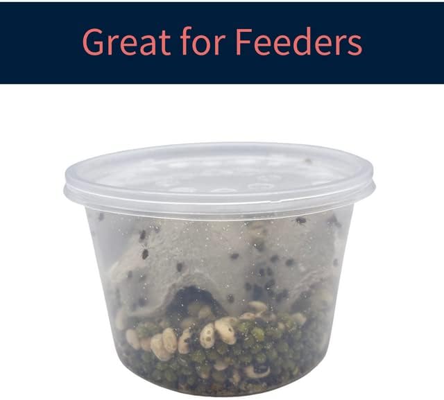 16 oz Deli Cup and Fabric Vented Insect Feeder lids by Snout & Shell - Pack of 10 Cups and lids