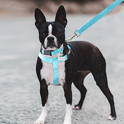 No Pull Dog Harness, Leash & Collar Set, Adjustable Step-in Vest - Image 5