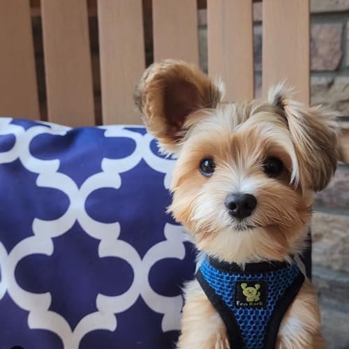 EcoBark Step in Dog Harness, Reflective Mesh Vest, Royal Blue Sport - Image 6