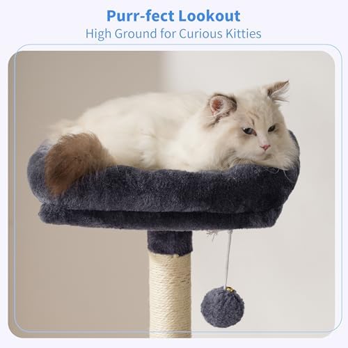Heybly Cat Tree with Toy, 49 inch Cat Tower - Image 2