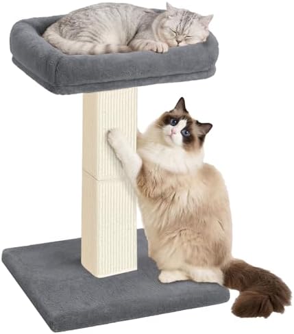 Cat Scratching Post with Plush Perch by AGYM