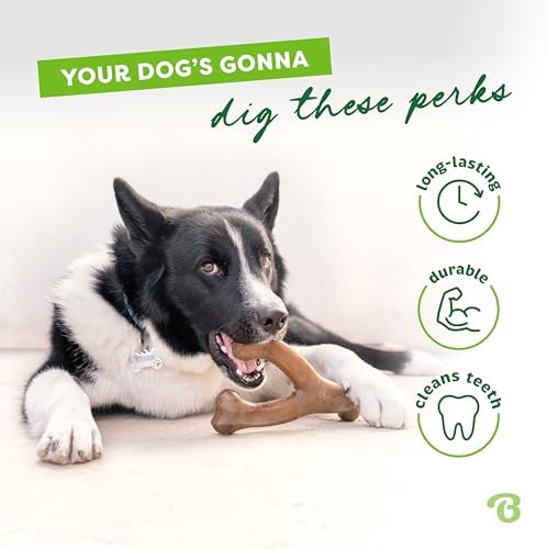 Benebone Wishbone Dog Chew Toy for Aggressive Chewers, Real Peanut - Image 3