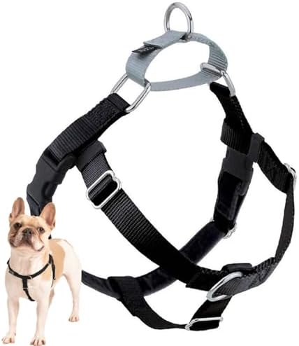 2 Hounds Design Freedom No Pull Dog Harness, 1 inch XXL by 2HoundsDesign
