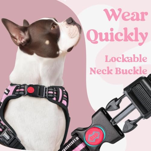 rabbitgoo Dog Harness Medium Sized, Updated Easy On & Off - Image 3