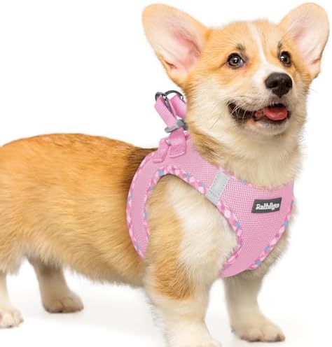 rabbitgoo Step-in Small Dog Harness, Puppy Vest by rabbitgoo