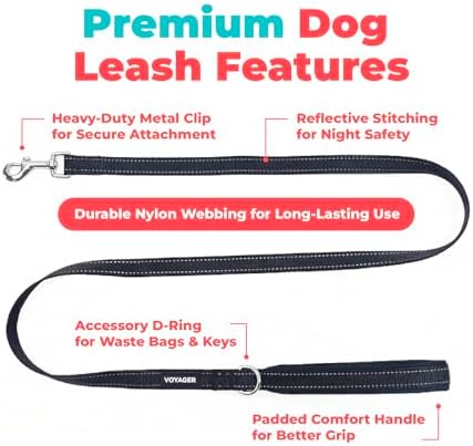 Best Pet Supplies Voyager Nylon Dog Leash - Image 2