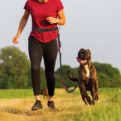 Mile High Life Hands Free Leash, Waist Leash - Image 2