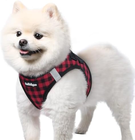 rabbitgoo Step-in Small Dog Harness, Puppy Vest by rabbitgoo