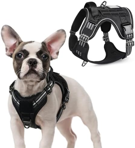 rabbitgoo Tactical Dog Harness for Small, No Pull Military Service Vest by rabbitgoo