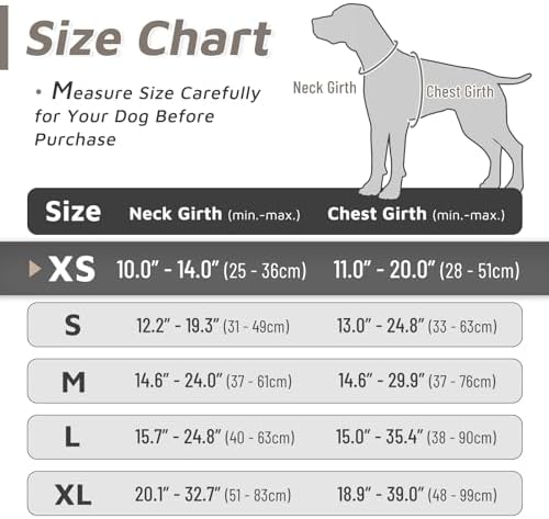 Eagloo Dog Harness for Small Dogs, No Pull Pet Vest - Image 2
