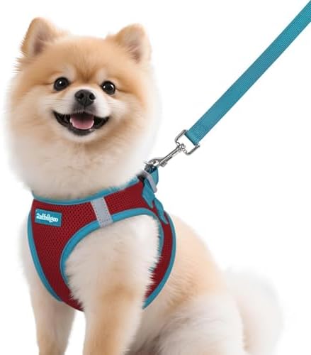 rabbitgoo Dog Harness Small Sized and Leash Set, Step in Soft Vest by rabbitgoo