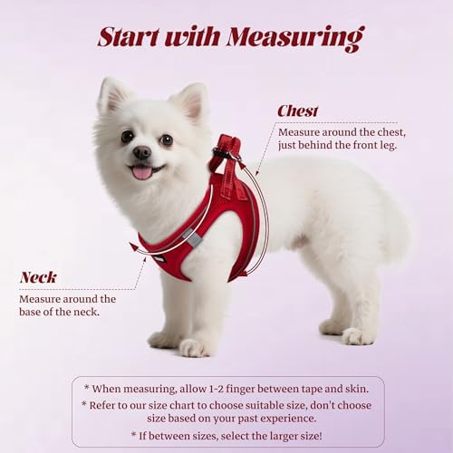 No Pull Dog Puppy Harness and Leash Set Reflective Mesh Vest X-Small - Image 2
