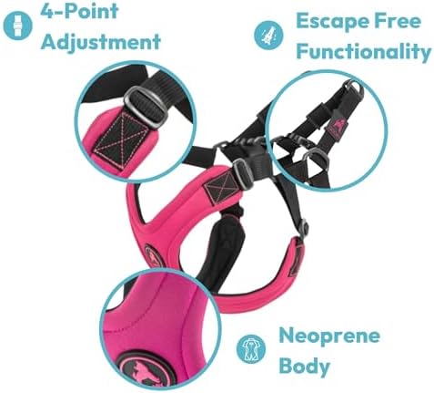 Gooby, Dog Harness, 4-Point Adjustment, No Choke - Image 3