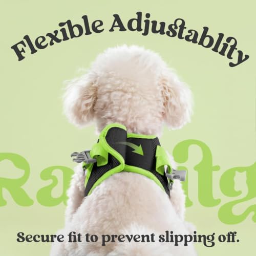 rabbitgoo Dog Harness Small Sized and Leash Set, Step in Soft Vest - Image 6