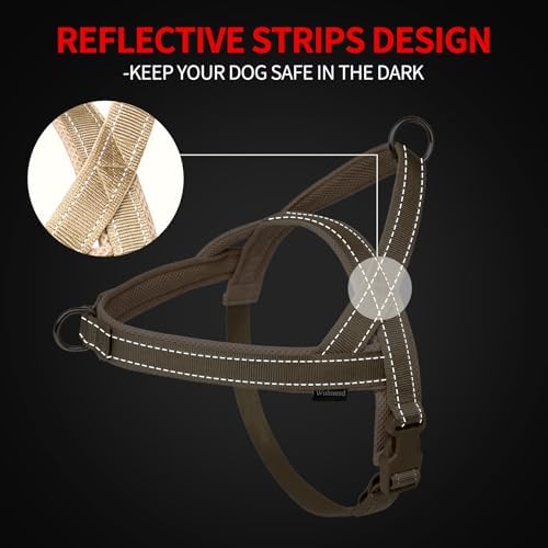 No Pull Dog Harness & 5FT Leash Set - Image 3
