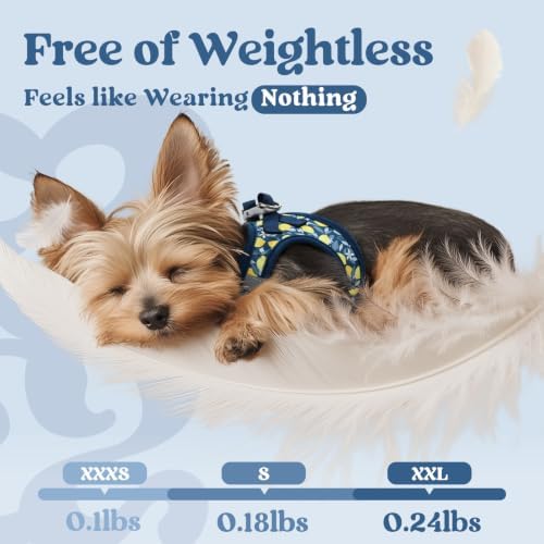 rabbitgoo Step-in Small Dog Harness, Puppy Vest - Image 4