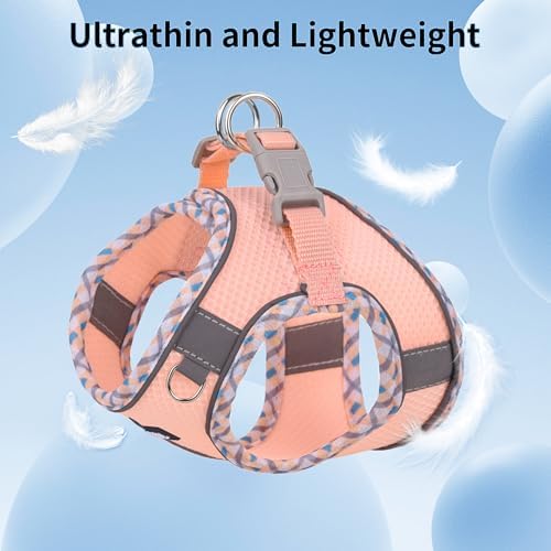 AIITLE Tiny Dog Harness and Leash Set, Step-in Vest - Image 2