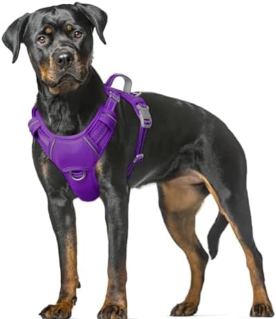 BARKBAY Dog Harness for Large Dogs No Pull Dog Vest ID Tag Pocket by BARKBAY