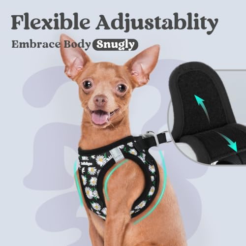 rabbitgoo Step-in Small Dog Harness, Puppy Vest - Image 6