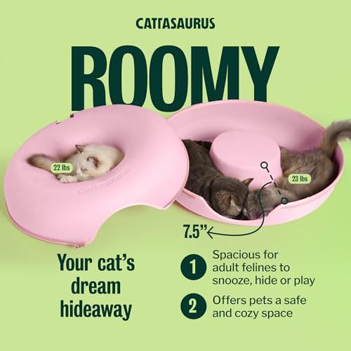 Cattasaurus Peekaboo Cat Cave Donut - Image 3