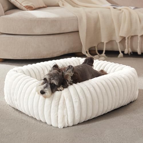 FURTIME Dog Bed for Small Dogs, Washable Orthopedic Dog Bed by FURTIME