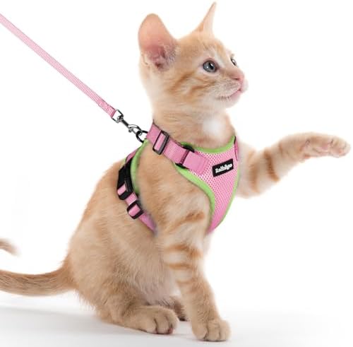 rabbitgoo Cat Harness and Leash Set, Escape Proof Vest by rabbitgoo