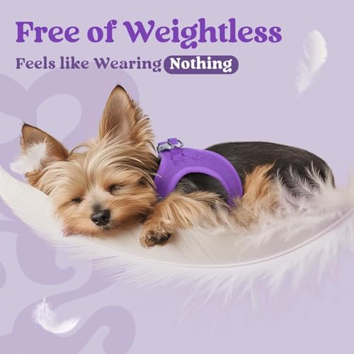 rabbitgoo Step-in Small Dog Harness, Puppy Vest - Image 3