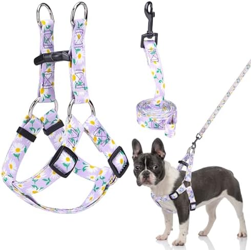 BEAUTYZOO No Pull Dog Harness and Leash Set by BEAUTYZOO
