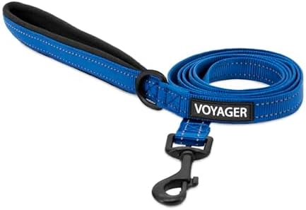 Best Pet Supplies Voyager Nylon Dog Leash by BestPetSuppliesLLC