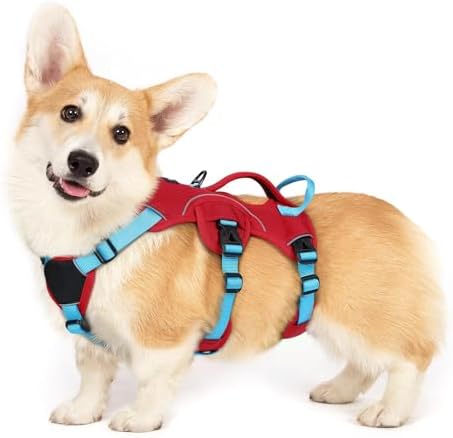 rabbitgoo Escape Proof Dog Harness by rabbitgoo