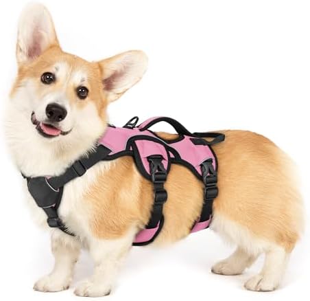 rabbitgoo Escape Proof Dog Harness by rabbitgoo