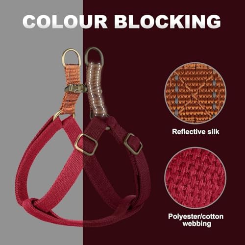 Didog Step in Dog Harnes for Medium Dogs, Chest 19-28" - Image 3