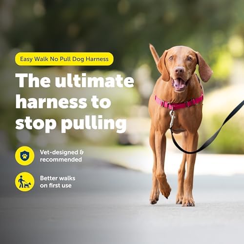 PetSafe Easy Walk Harness, No Pull Dog Harness, Deep Purple, Medium/Large - Image 2