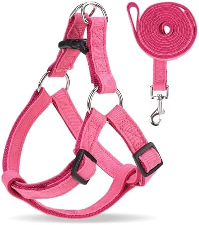 BINGPET No Pull Dog Harness and Leash Set, Adjustable Step-in Vest by BINGPET