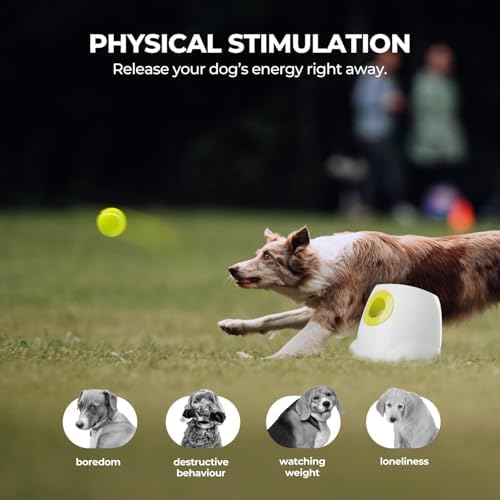ALL FOR PAWS Automatic Dog Ball Launcher for Medium to Large Dogs, Interactive - Image 3