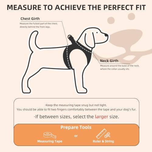 PUPTECK Dog Harness, Collar and Leash Set No Pull - Image 2